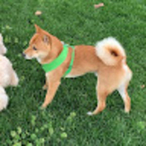 Meet your Posher, Sabrina